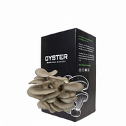 Blue Oyster Cut & Grow Box Kit