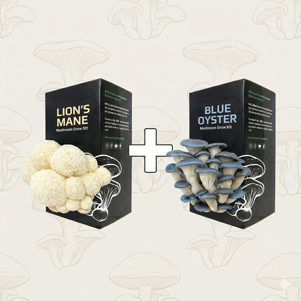 Double Mushroom Grow Kit Bundle