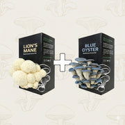 Double Mushroom Grow Kit Bundle