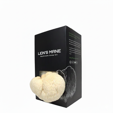 Lion's Mane Cut & Grow Box Kit
