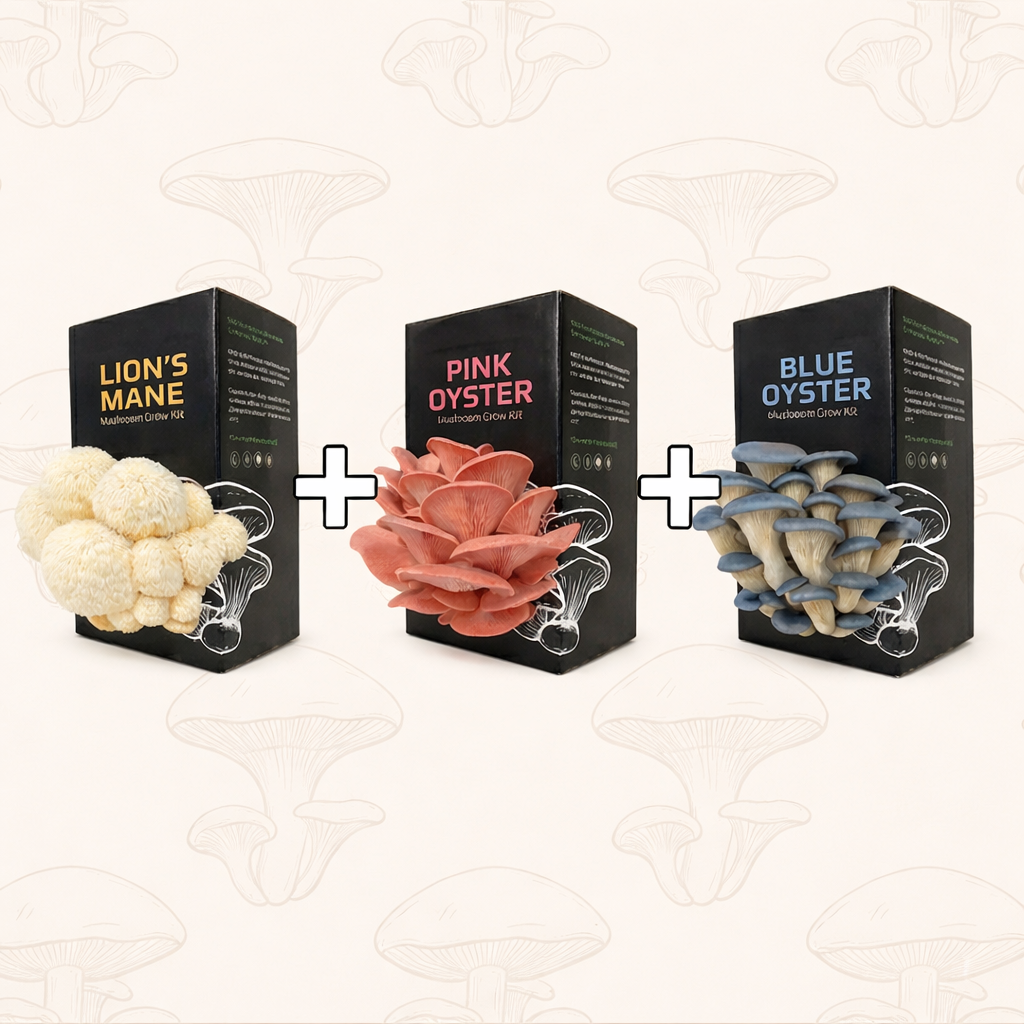 Triple Mushroom Grow Kit Bundle